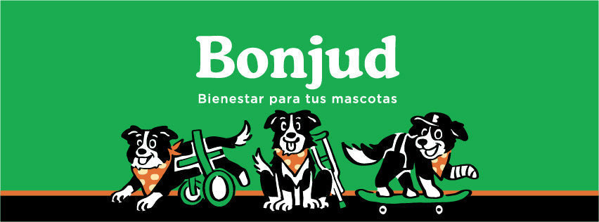 Bienvenidos a Bonjud: Un nuevo estándar en movilidad y bienestar animal en Chile