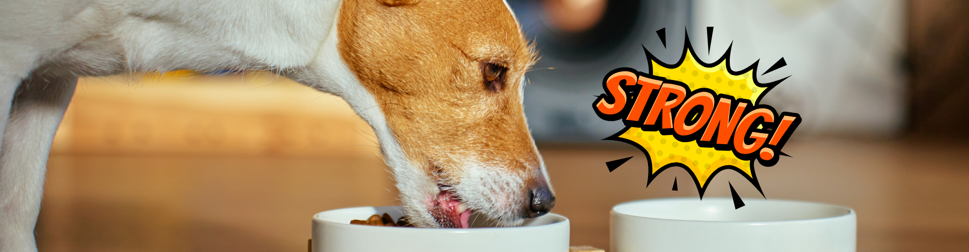 Imagen de un perro comiendo junto a un sticker que dice "Strong"