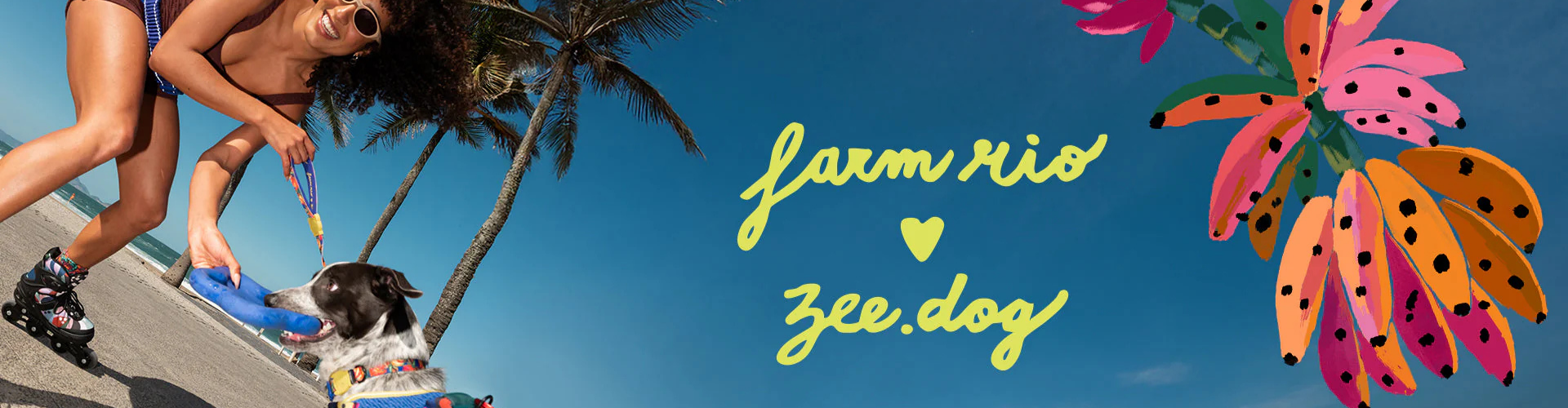 Accesorios para perros