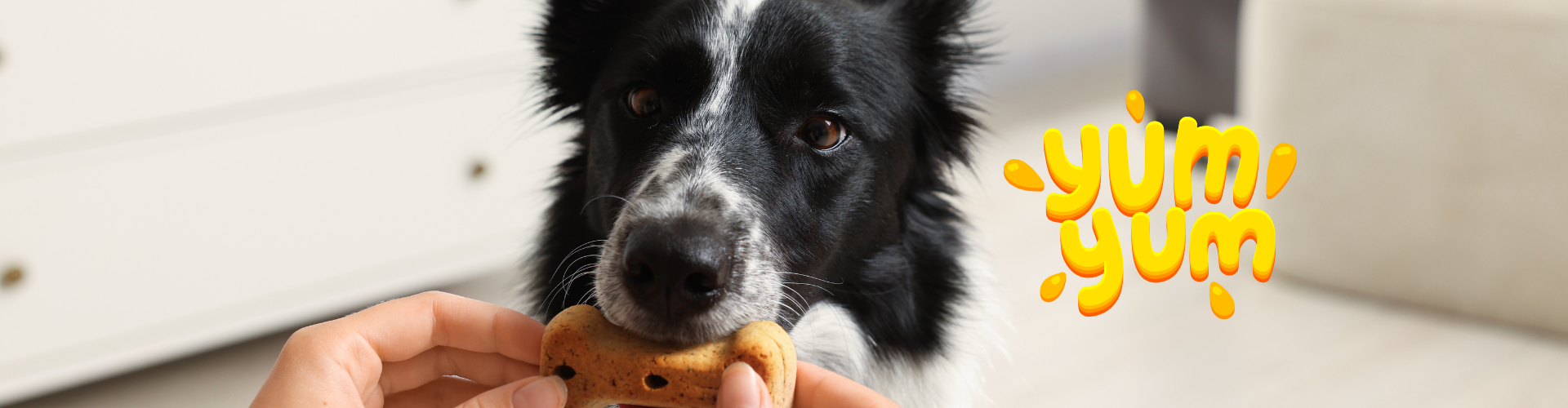 Imagen de un perro comiendo snacks