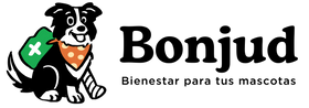 Bonjud