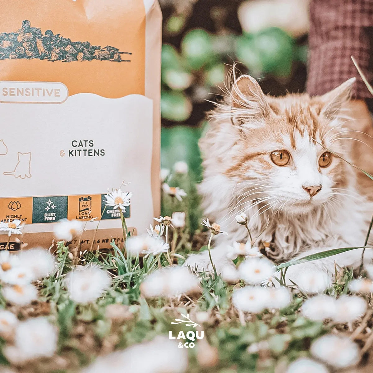 Arena ecológica de textura suave ideal para gatitos, gatos senior o postoperatorios