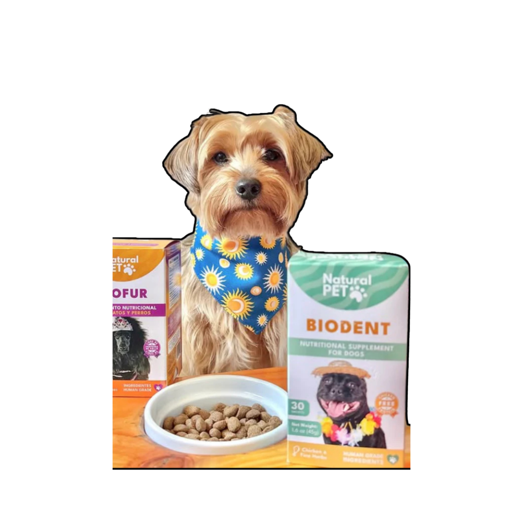 Vitaminas para la caída de pelo en mascotas Biofur con ácidos grasos esenciales y biotina / Suplemento dental para mascotas Biodent que se agrega al agua para higiene oral sin cepillado