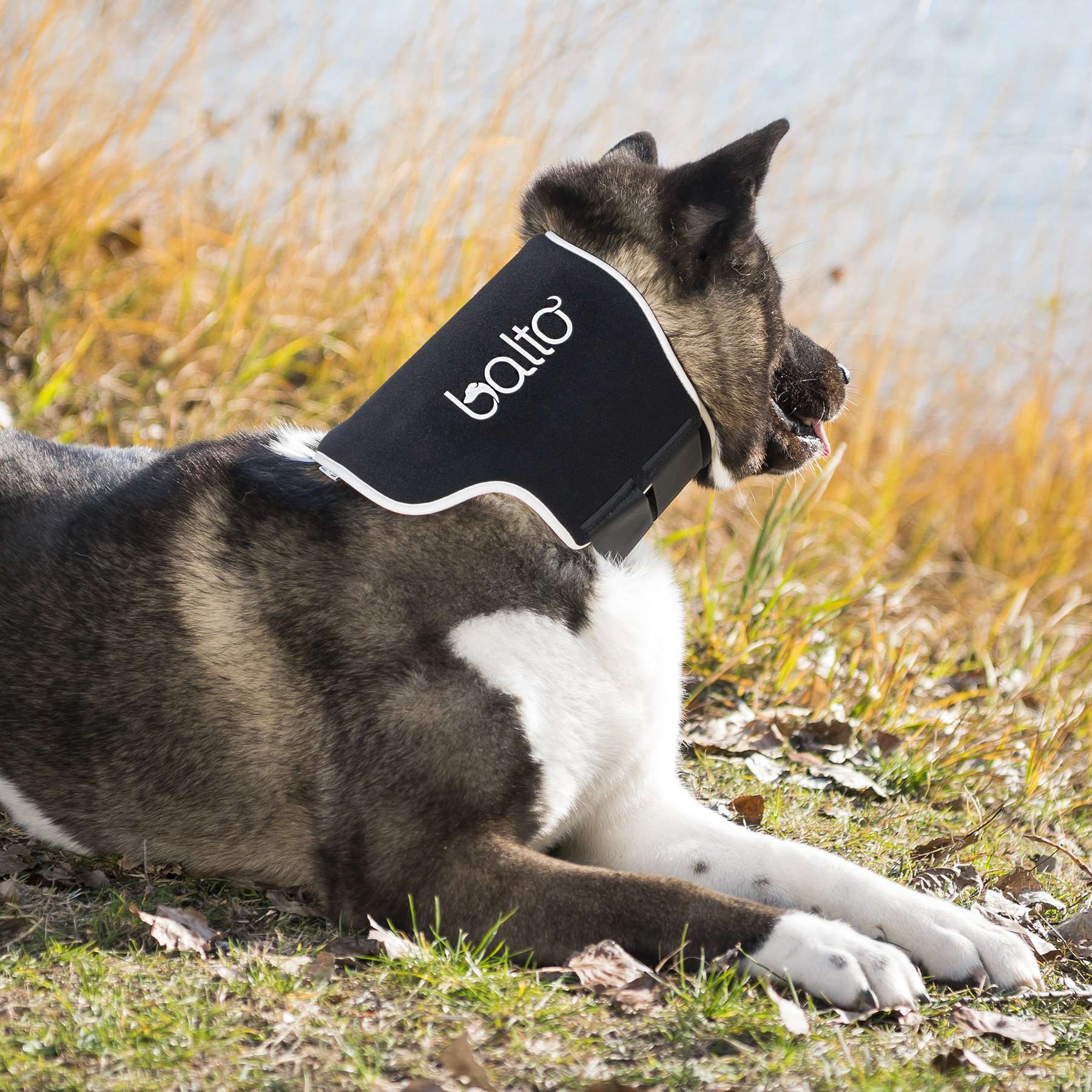 Balto Neck Eco - Collar antilamidos para perros y gatos