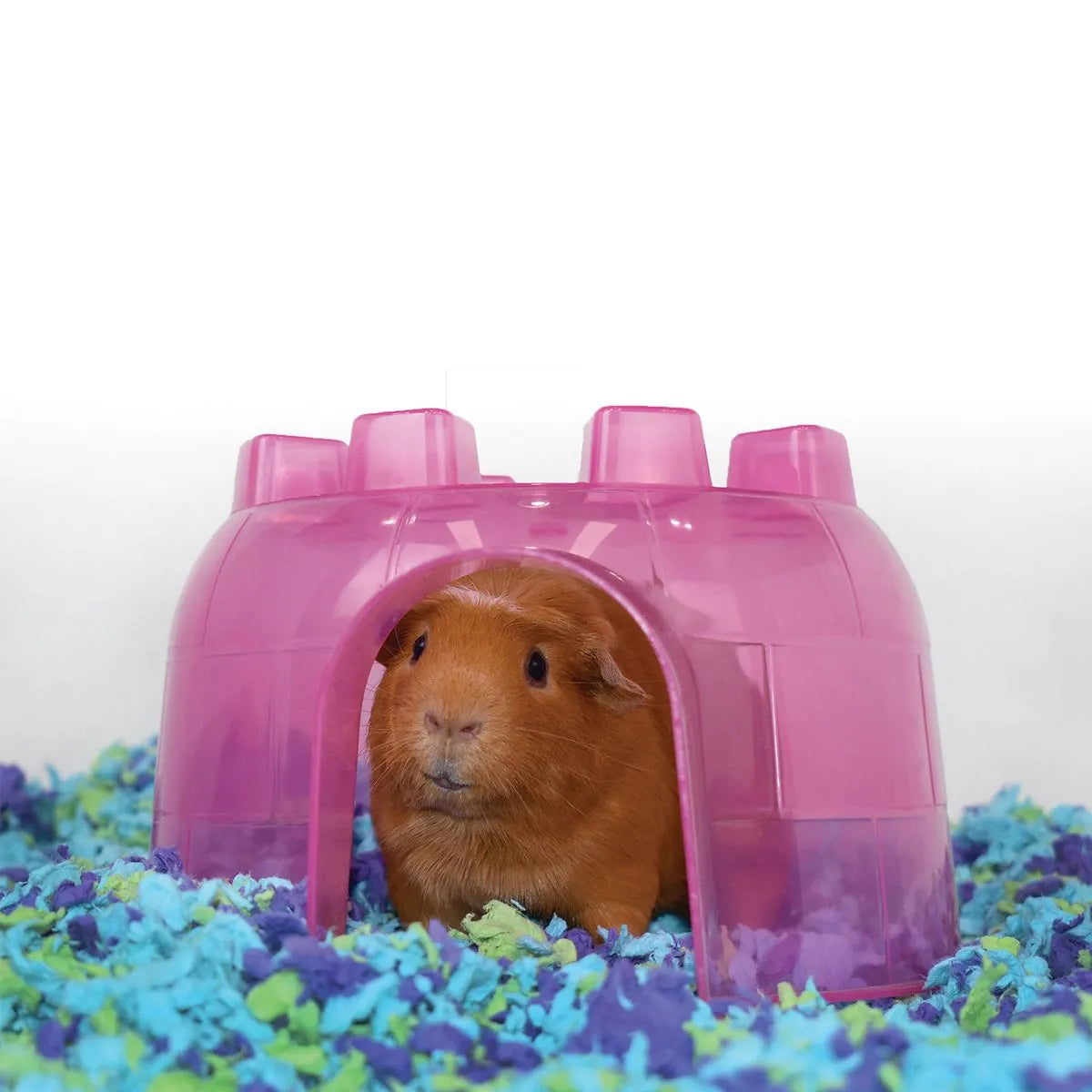 Pequeña mascota disfrutando de Carefresh