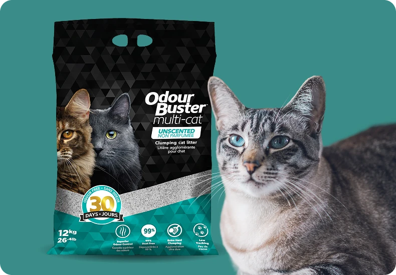 Arena para Gatos Aglutinante | Odour Buster Multi-Cat | Fórmula Premium
