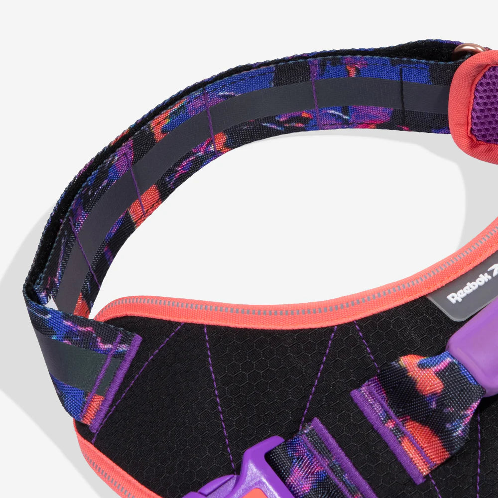 Arnés FlyHarness Zee.Dog Court | Edición Limitada