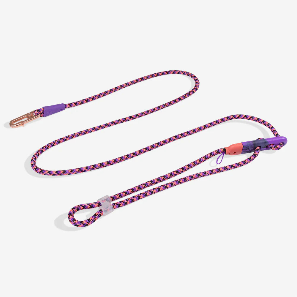 Correa Manos Libres para Perros Zee.Dog x Reebok Court | Edición Limitada