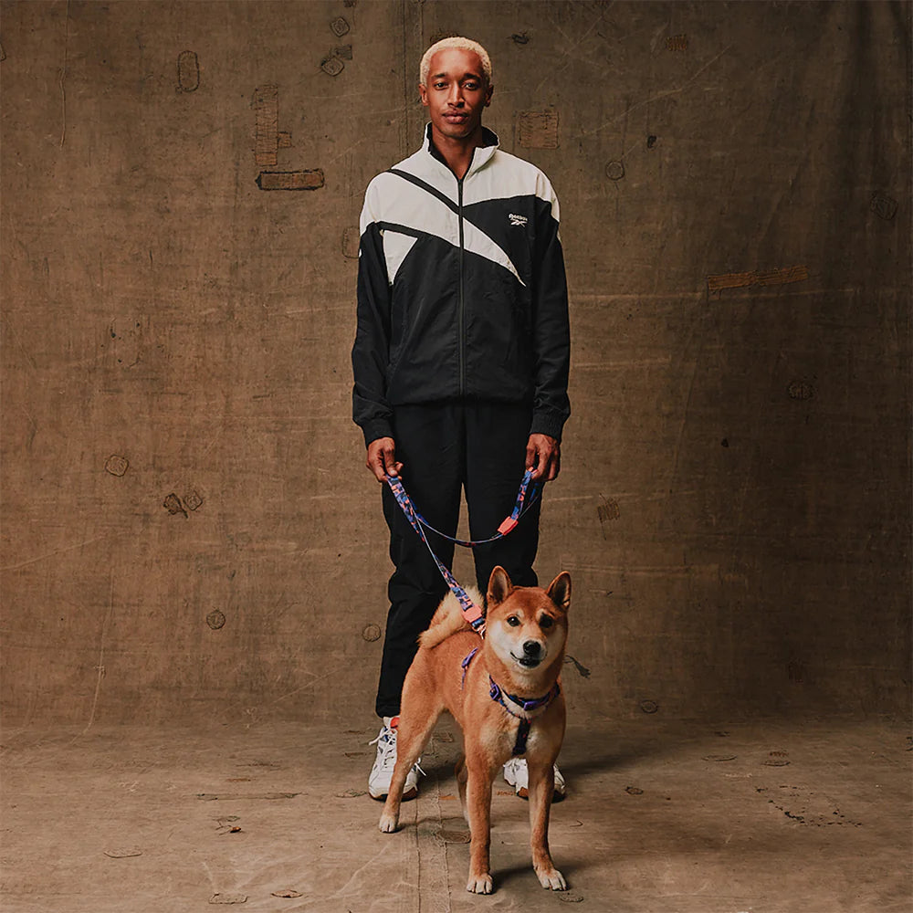 Arnés Zee.Dog x Reebok Court | H-Harness Ajustable | Edición Limitada