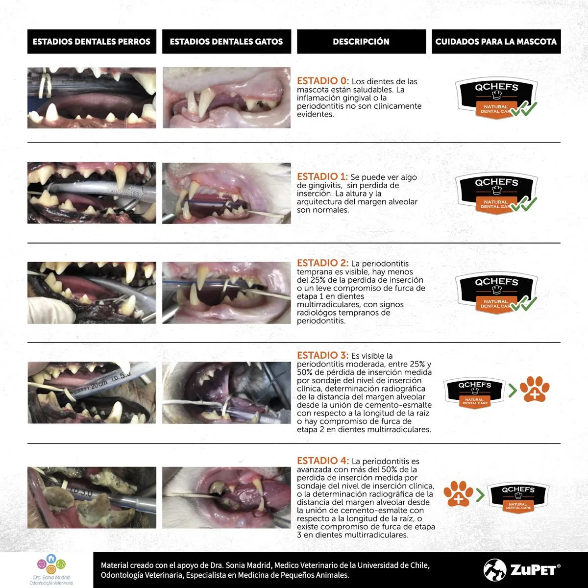 Tratamiento Dental Fitness Crocante Mmini Gato 60 Gr | QChefs