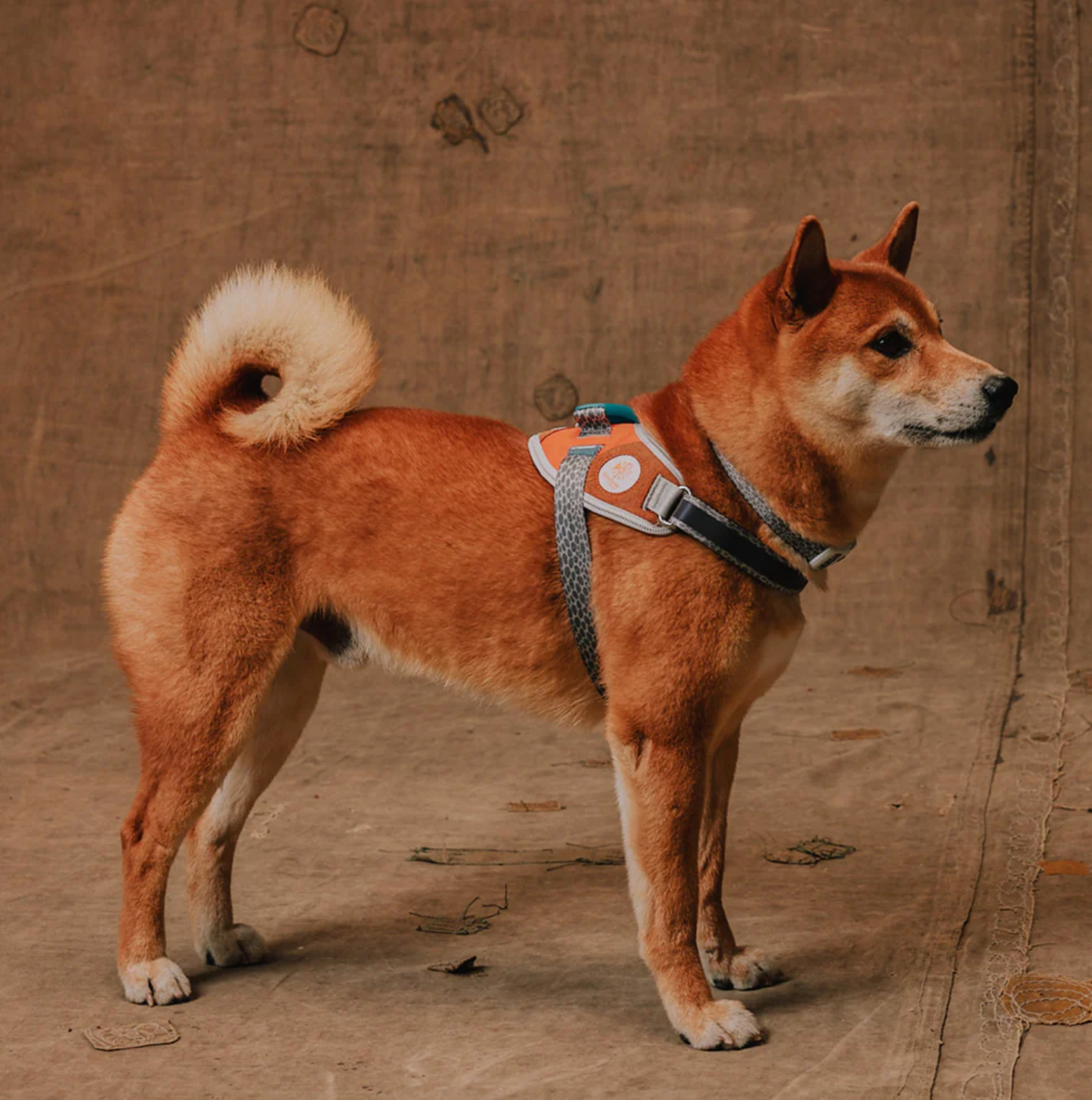 FlyHarness Zee.Dog x Reebok con malla transpirable y tecnología de calzado deportivo para máximo confort