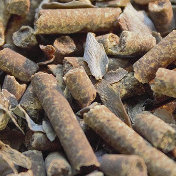 Lecho ecológico con textura natural de bosque para ambientación de hábitats y terrarios