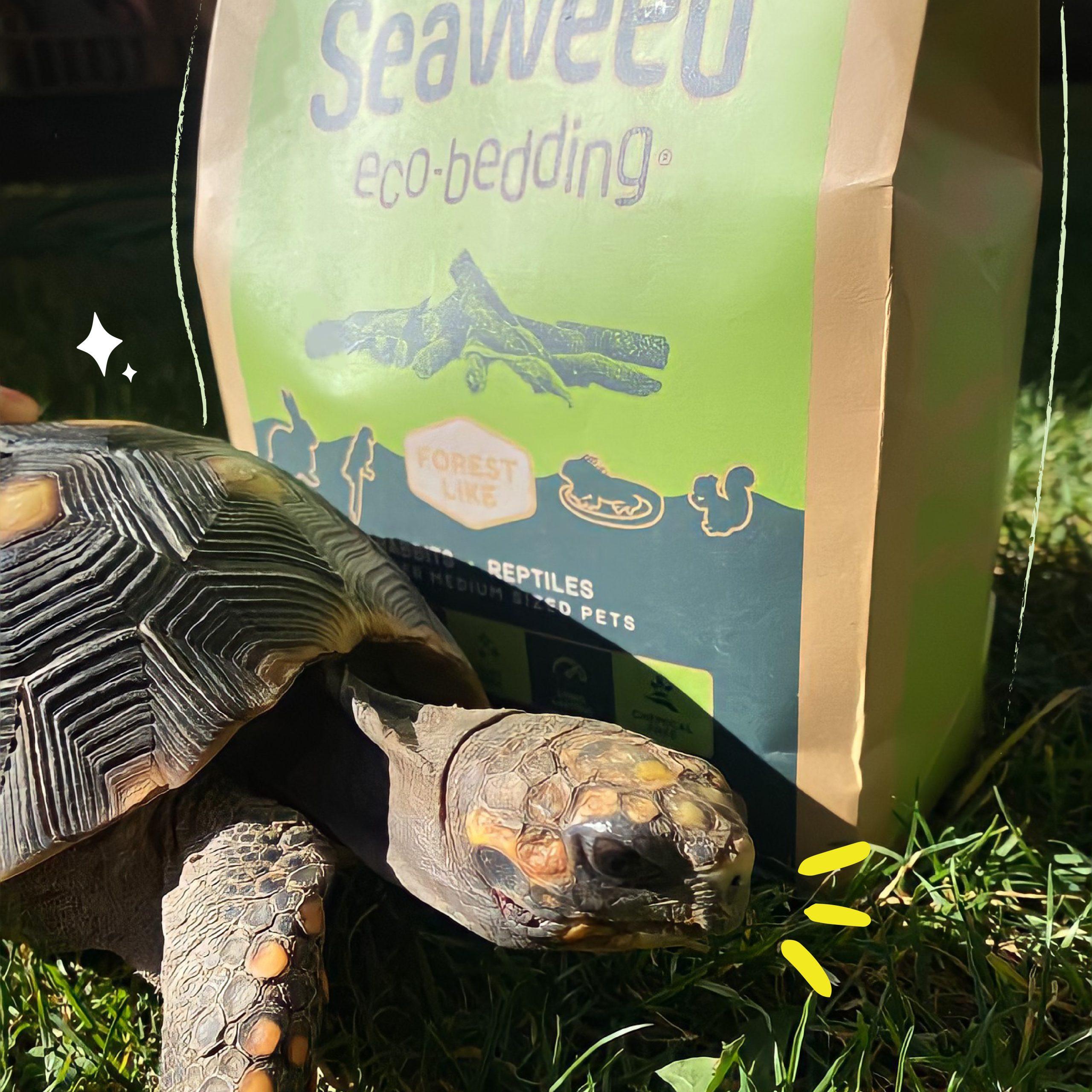 Cama vegetal 100% natural para animales pequeños con alto control de humedad y olores