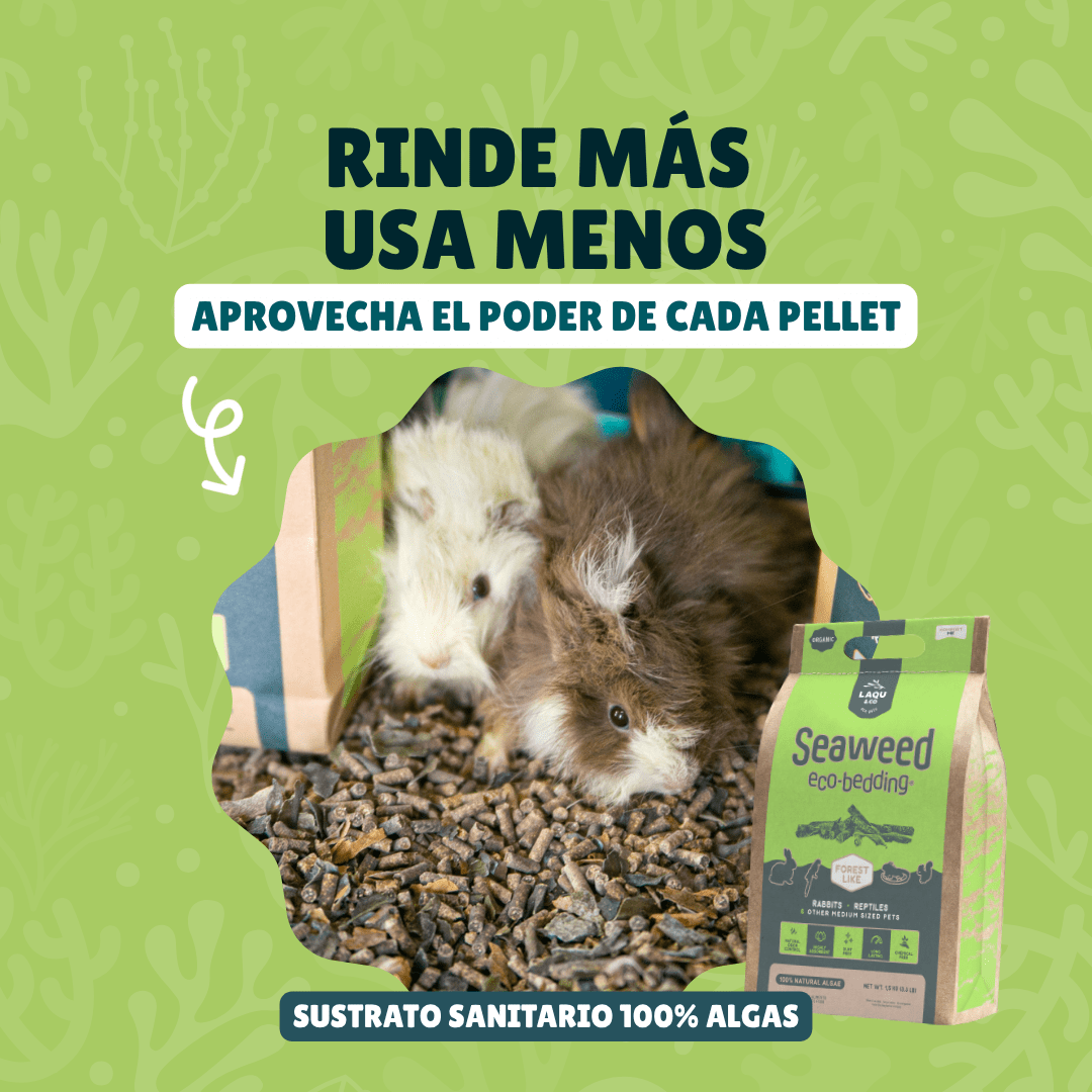 Sustrato biodegradable para mascotas que simula suelo forestal libre de químicos y aditivos