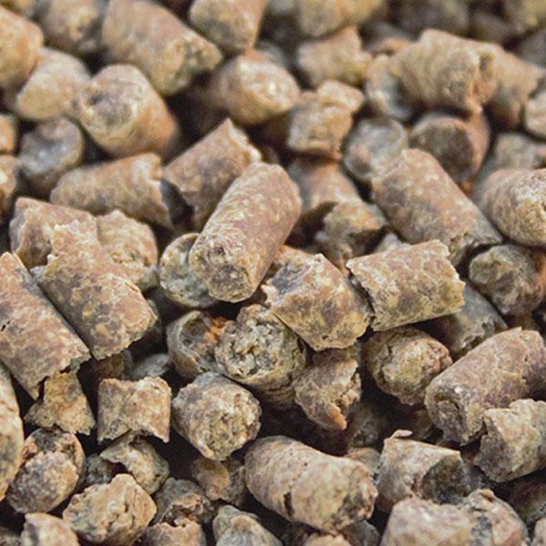 Lecho ecológico para conejos y cobayas libre de polvo y resinas tóxicas para proteger vías respiratorias