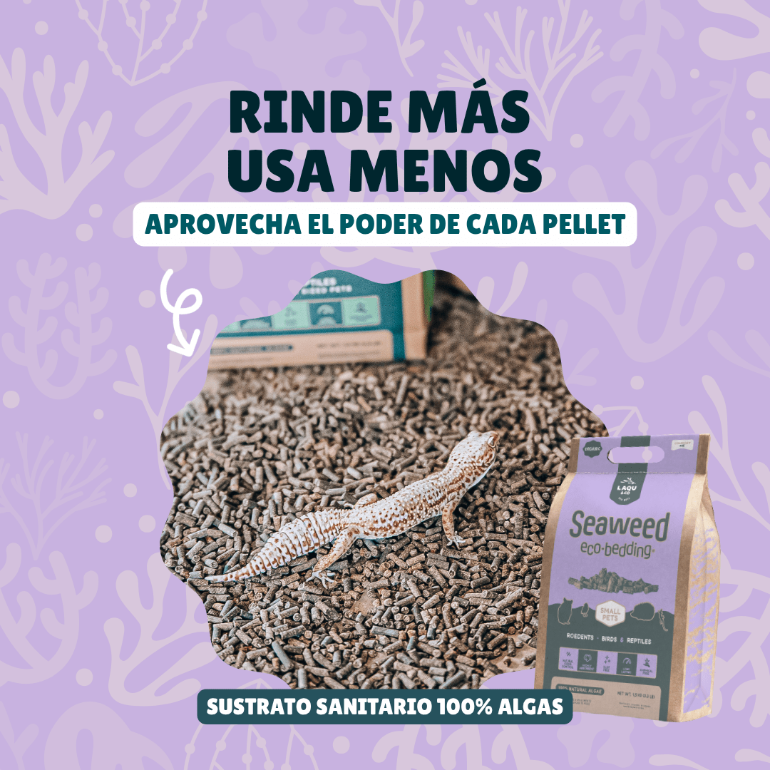 Sustrato vegetal biodegradable para hámsters y erizos que mantiene el hábitat seco y sin olores