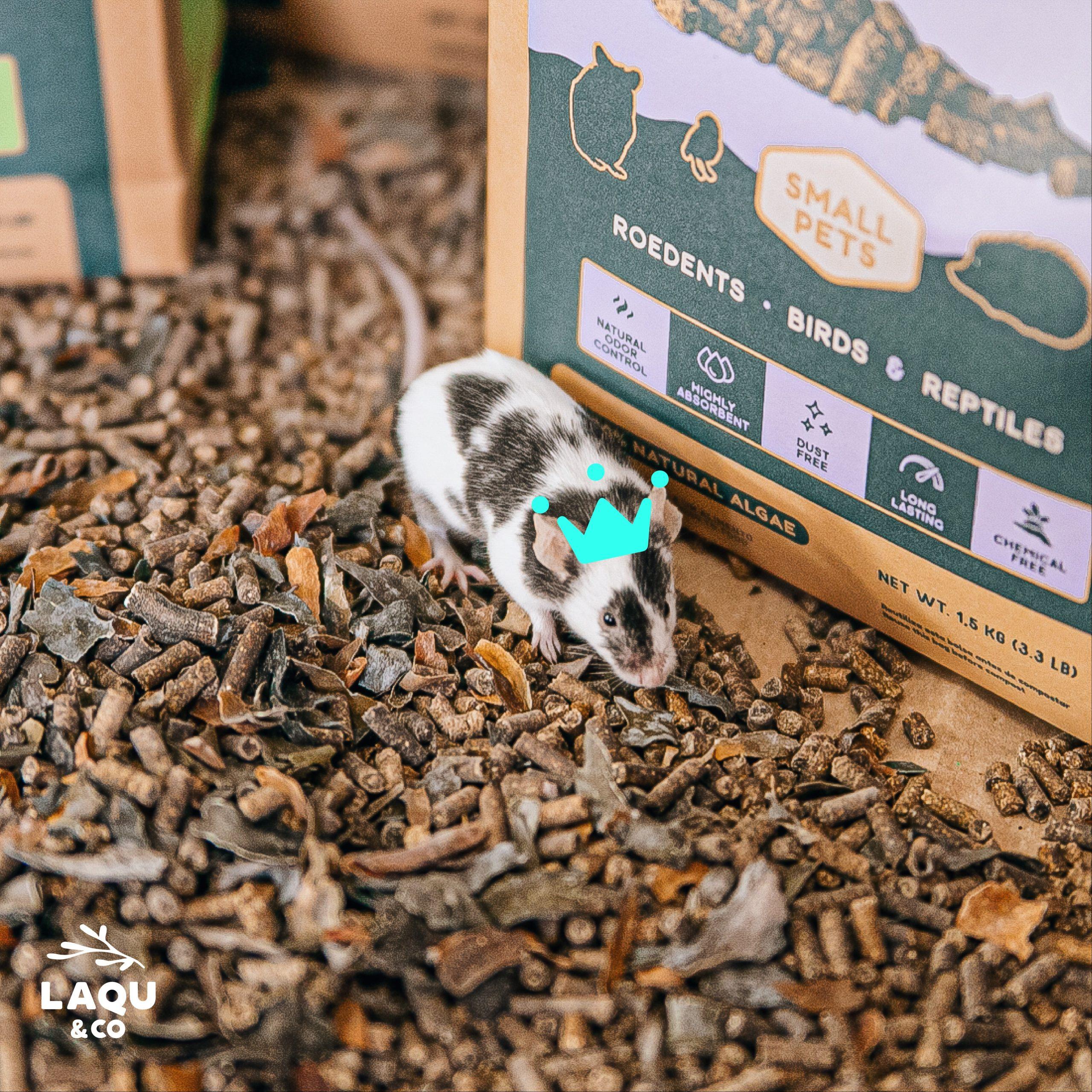 Cama natural para mascotas pequeñas suave y compostable ideal para anidación y confort térmico