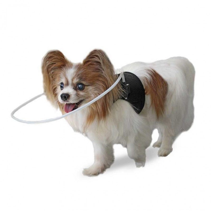 Aro protector para perros ciegos de la marca Walkin' Pets