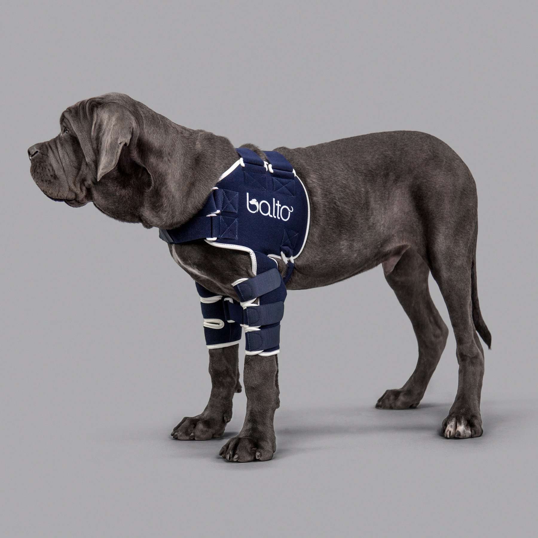 Soporte de Hombro para Perros Balto Lux | Displasia y luxación
