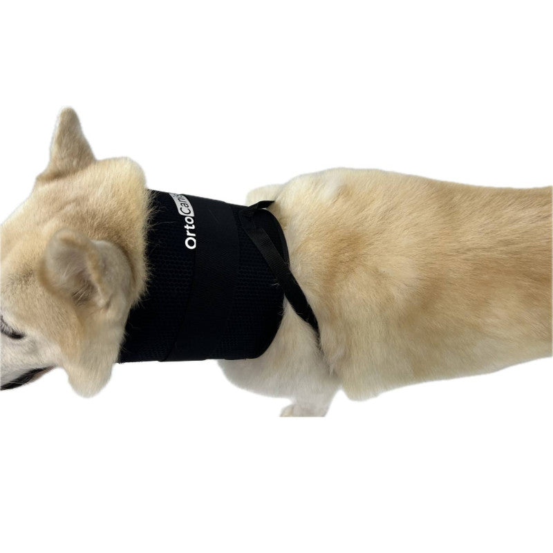 Collar cervical para perros Ortocanis inmovilizador y alternativa cómoda al cono isabelino