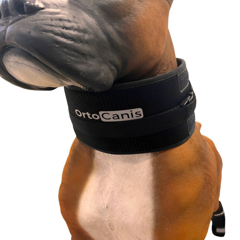 Protector cervical ortopédico para perros que reduce el estrés y mejora el descanso tras cirugía