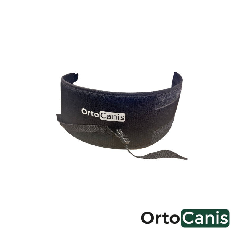 Collar protector para perros con cierre ajustable que evita que la mascota se lama heridas