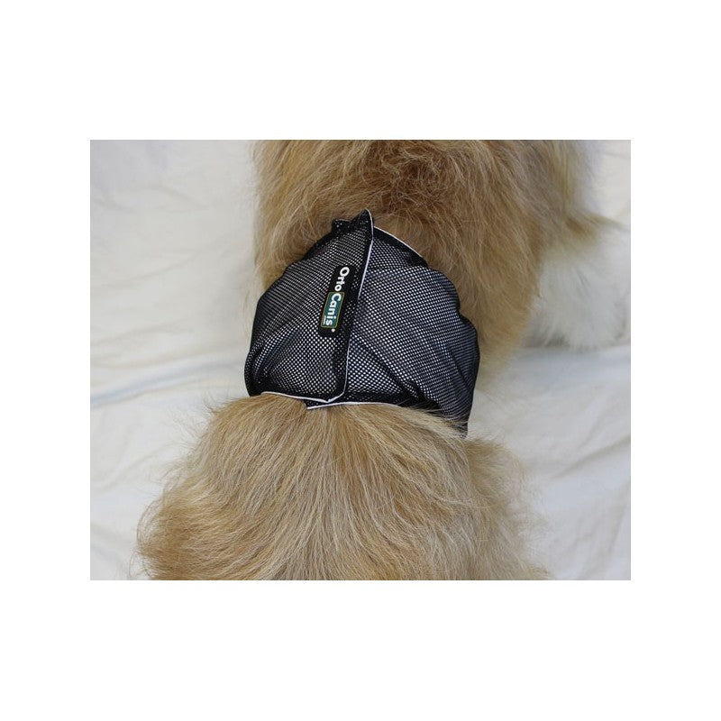 Banda abdominal lavable para perros machos con ajuste de velcro para protección del hogar