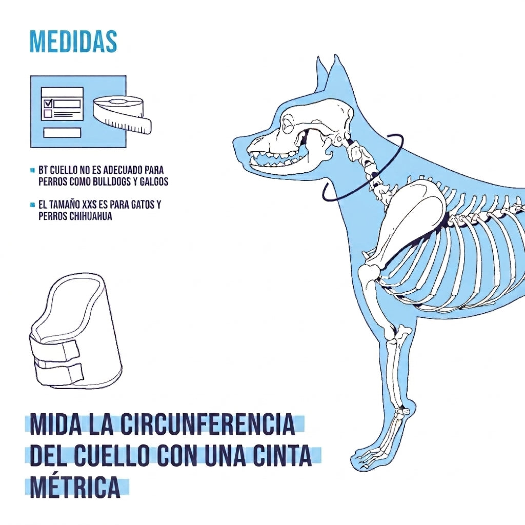 Collar Cervical Balto Neck | Para Lesiones Cervicales de Perros y Gatos