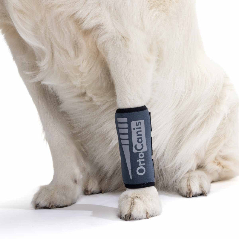 Muñequera para carpo canino Ortocanis que proporciona soporte estabilidad y protección térmica