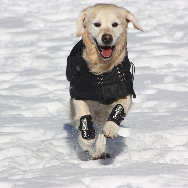 Muñequera Ortocanis para Perros | Que tu Perro Vuelva a Correr sin Cojear