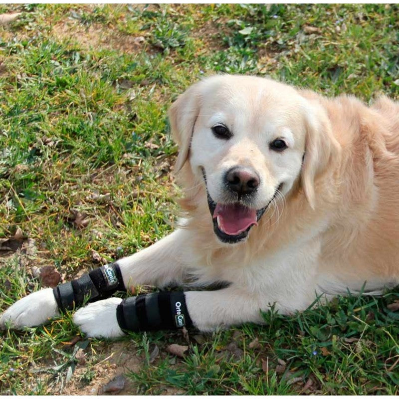Muñequera Ortocanis para Perros | Que tu Perro Vuelva a Correr sin Cojear