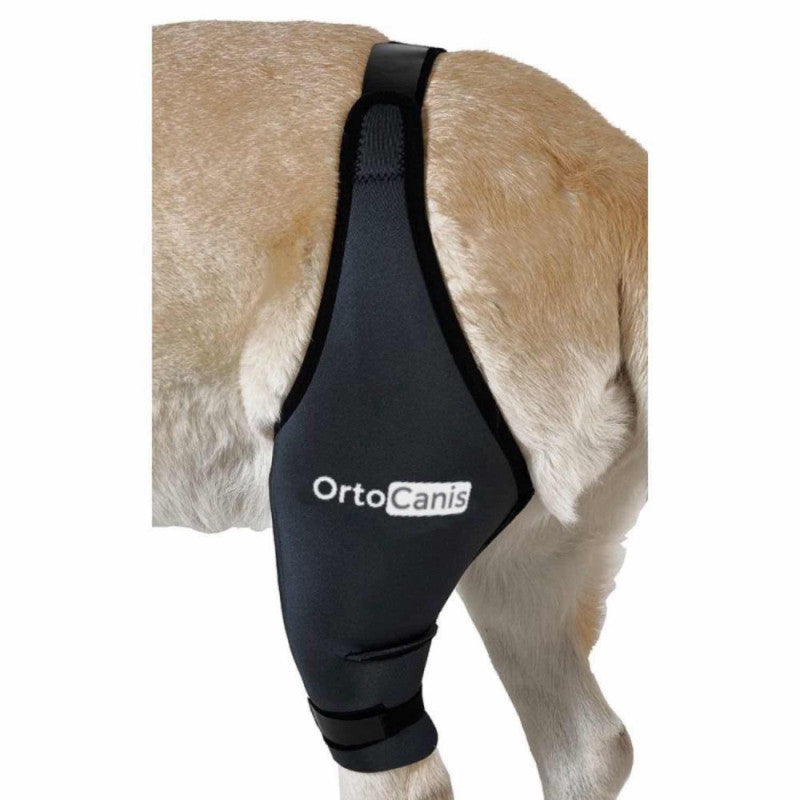 Protector de rodilla para perros con lesiones o artrosis - Ortocanis