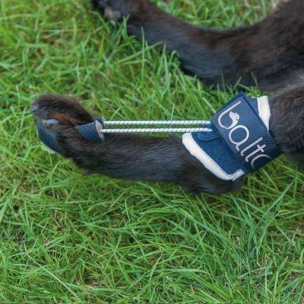 Balto Pull - Propioceptivo para la Hiperflexión de las Falanges