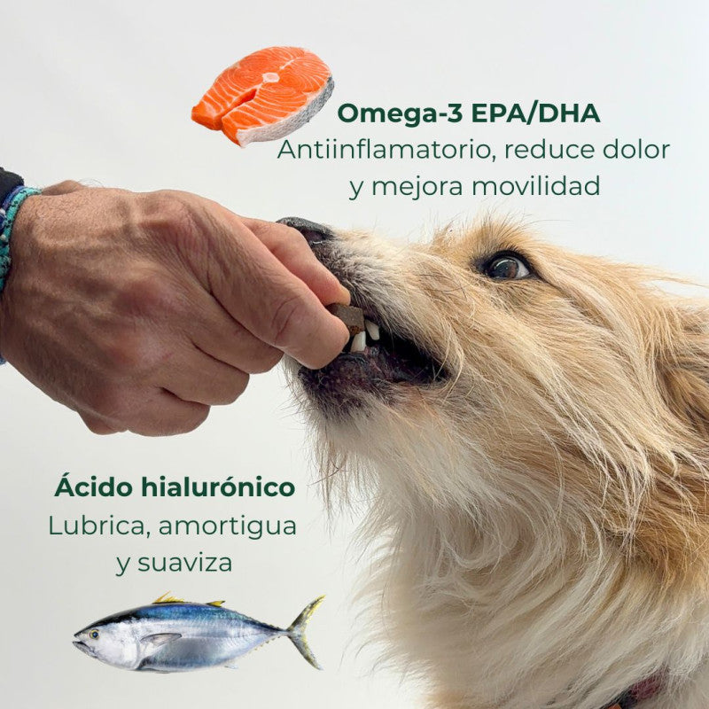 Suplemento Nutricional para Articulaciones de Perros | Ortocanis
