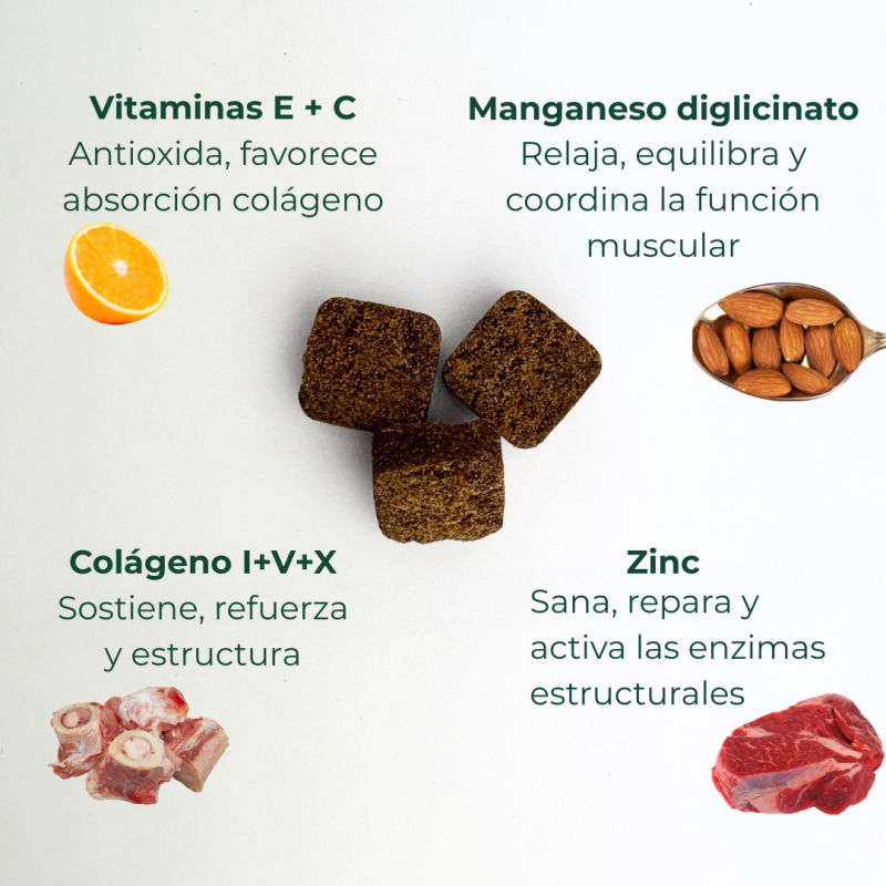 Suplemento Nutricional para Articulaciones de Perros | Ortocanis