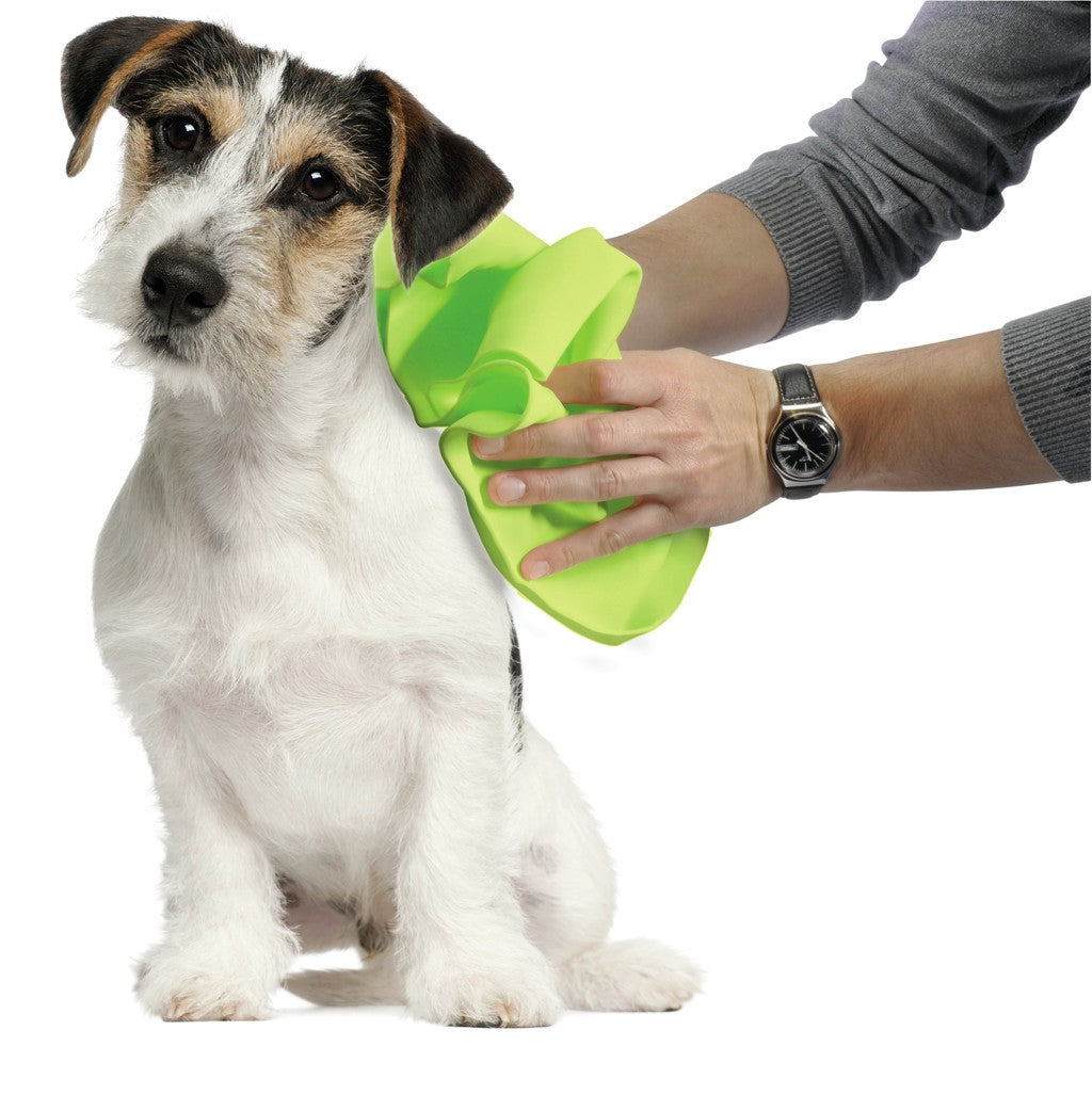 Toallas super absorbentes Camon para perros y gatos 